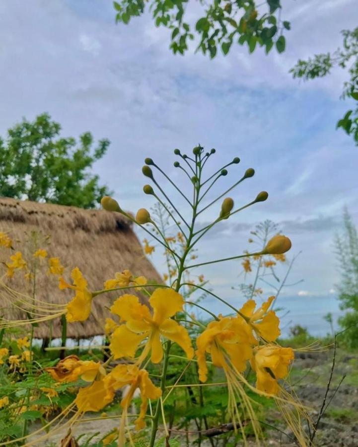 Oro Beach Houses Weetebula 외부 사진
